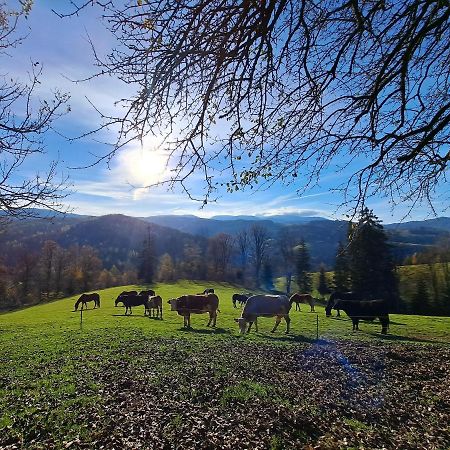 Erlebnisbauernhof Gutschi Ranch Kamp Εξωτερικό φωτογραφία