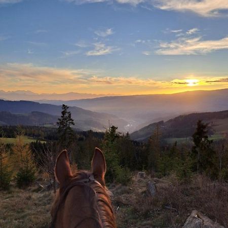 Erlebnisbauernhof Gutschi Ranch Kamp Εξωτερικό φωτογραφία