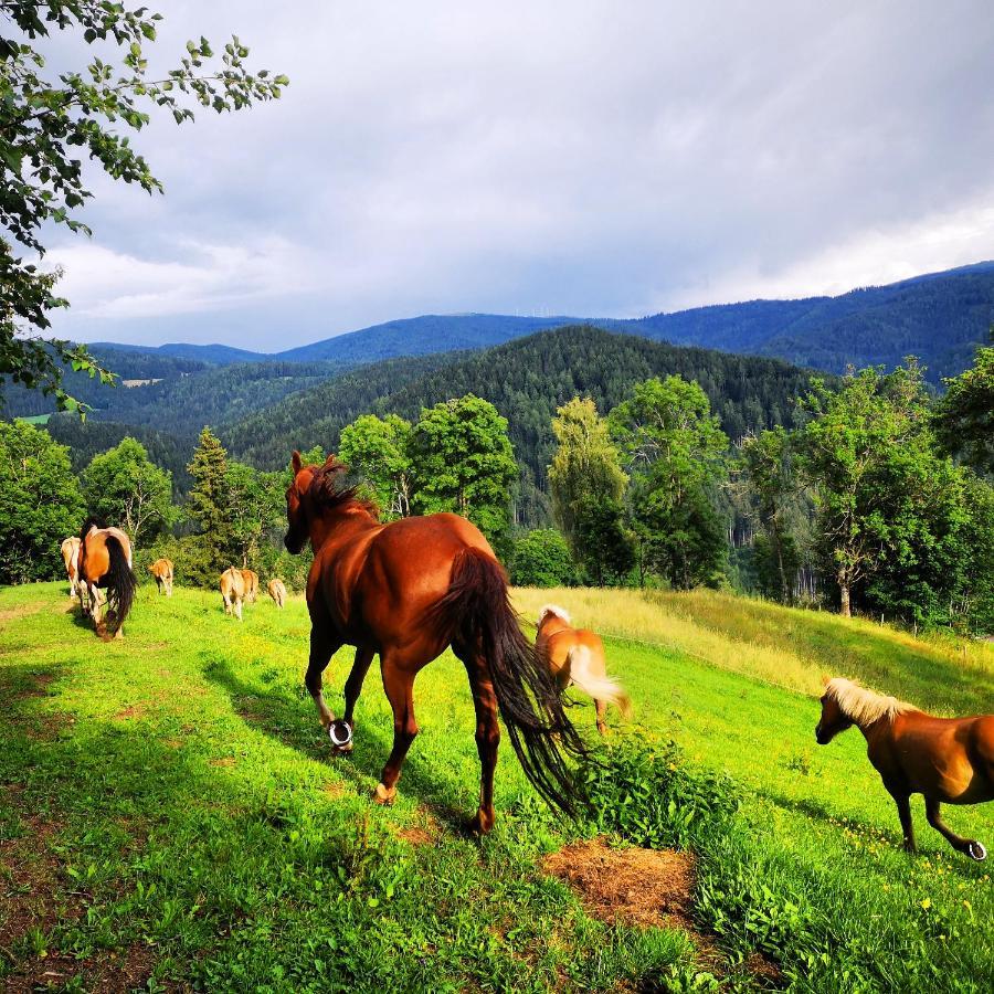 Erlebnisbauernhof Gutschi Ranch Kamp Εξωτερικό φωτογραφία