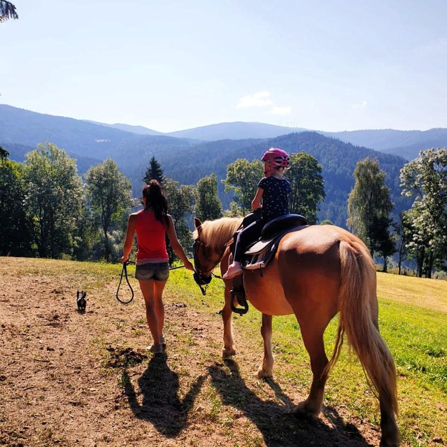 Erlebnisbauernhof Gutschi Ranch Διαμέρισμα Kamp Εξωτερικό φωτογραφία