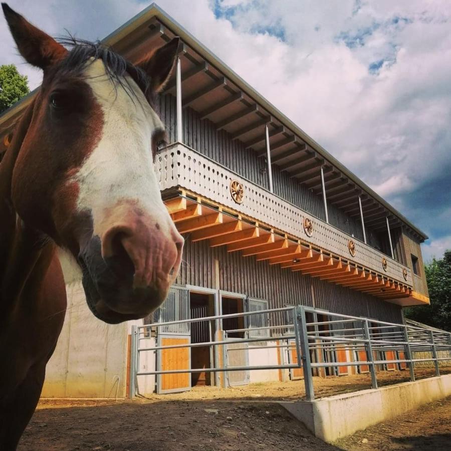 Erlebnisbauernhof Gutschi Ranch Kamp Εξωτερικό φωτογραφία