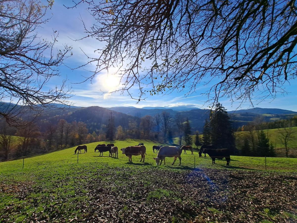 Erlebnisbauernhof Gutschi Ranch Διαμέρισμα Kamp Εξωτερικό φωτογραφία