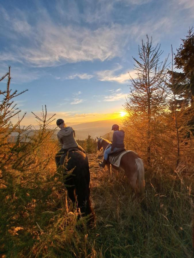 Erlebnisbauernhof Gutschi Ranch Διαμέρισμα Kamp Εξωτερικό φωτογραφία