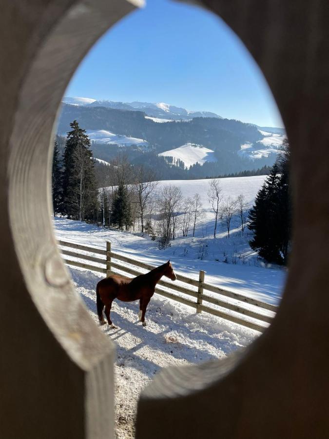Erlebnisbauernhof Gutschi Ranch Kamp Εξωτερικό φωτογραφία