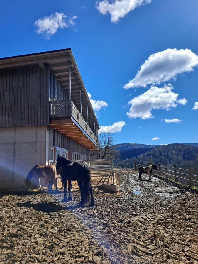 Erlebnisbauernhof Gutschi Ranch Kamp Εξωτερικό φωτογραφία