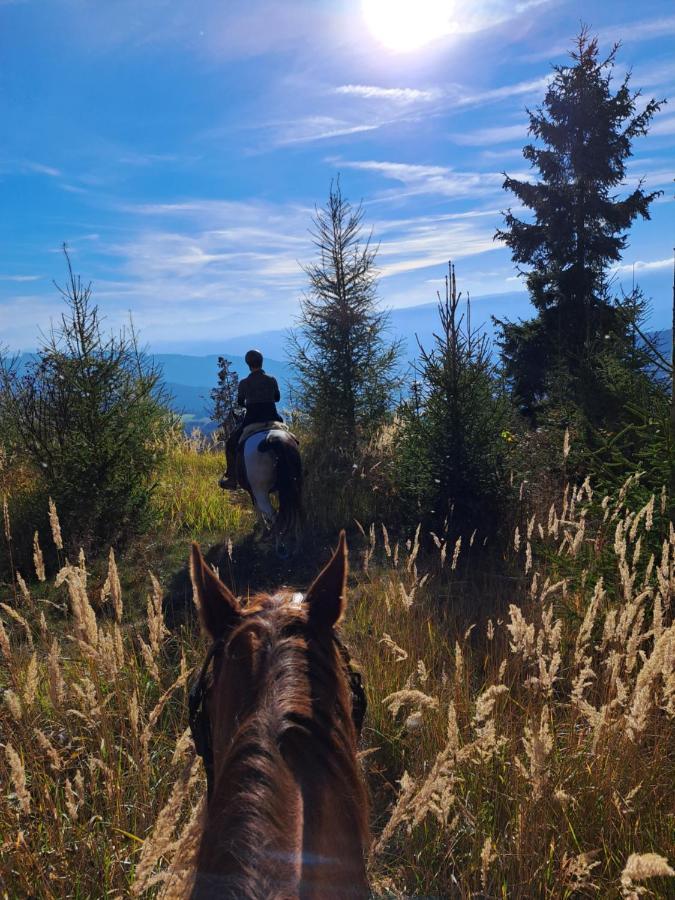 Erlebnisbauernhof Gutschi Ranch Kamp Εξωτερικό φωτογραφία
