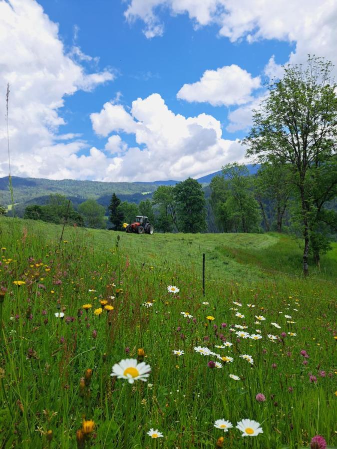 Erlebnisbauernhof Gutschi Ranch Διαμέρισμα Kamp Εξωτερικό φωτογραφία