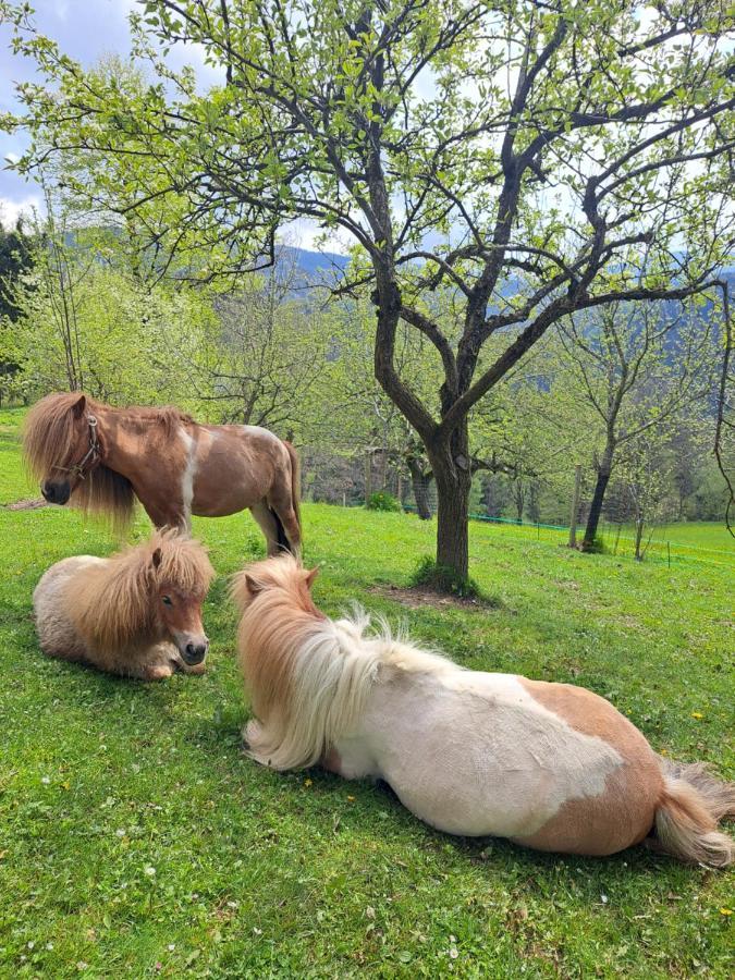 Erlebnisbauernhof Gutschi Ranch Διαμέρισμα Kamp Εξωτερικό φωτογραφία