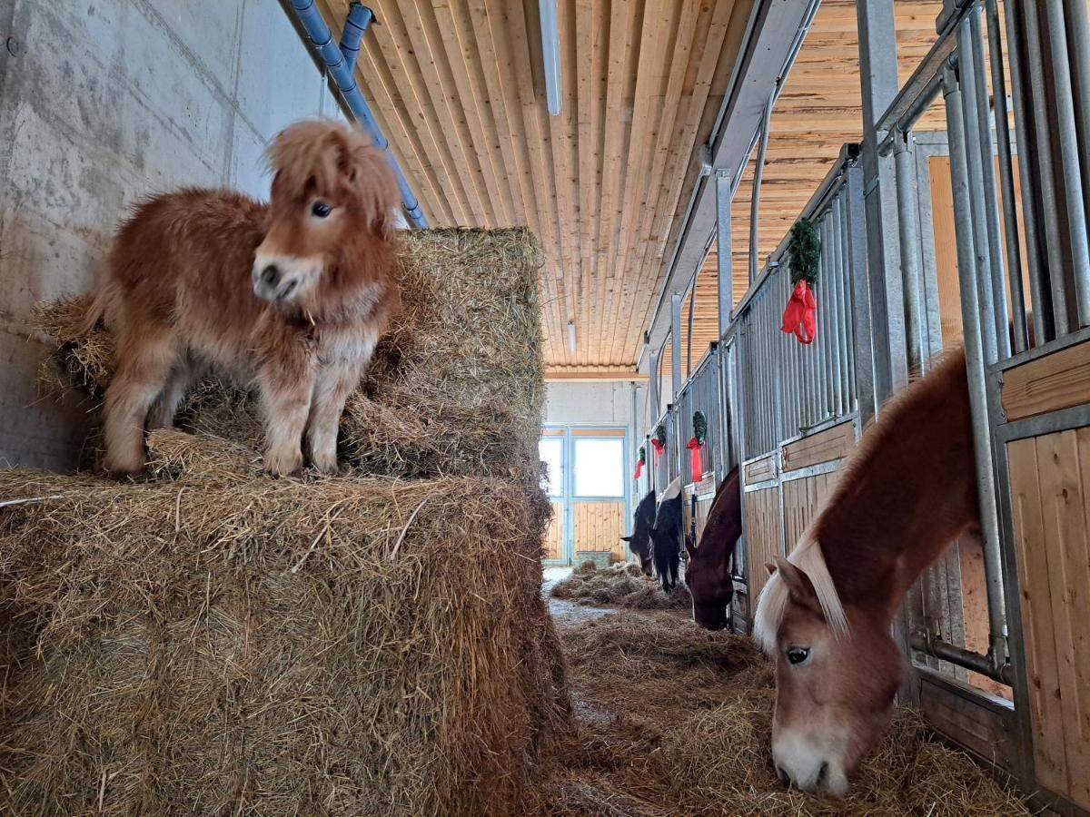 Erlebnisbauernhof Gutschi Ranch Διαμέρισμα Kamp Εξωτερικό φωτογραφία