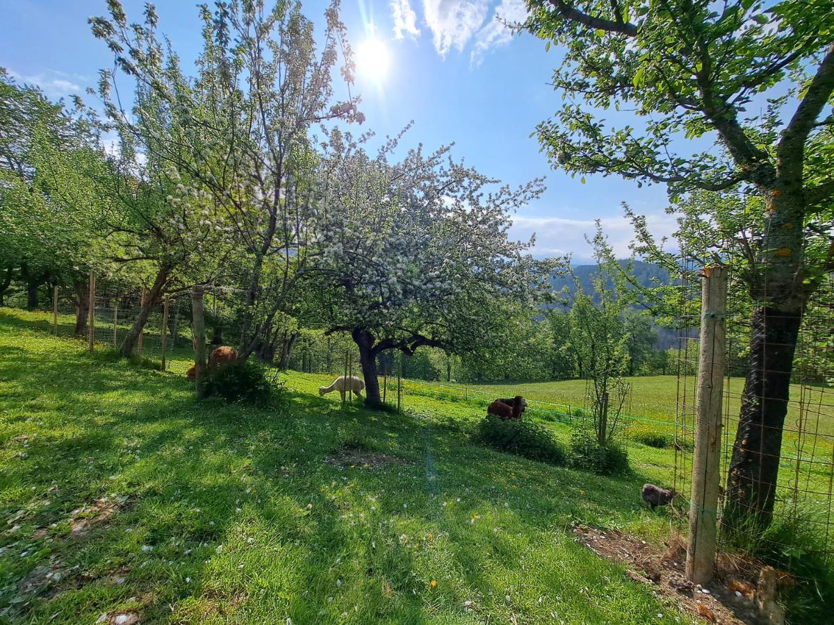Erlebnisbauernhof Gutschi Ranch Kamp Εξωτερικό φωτογραφία